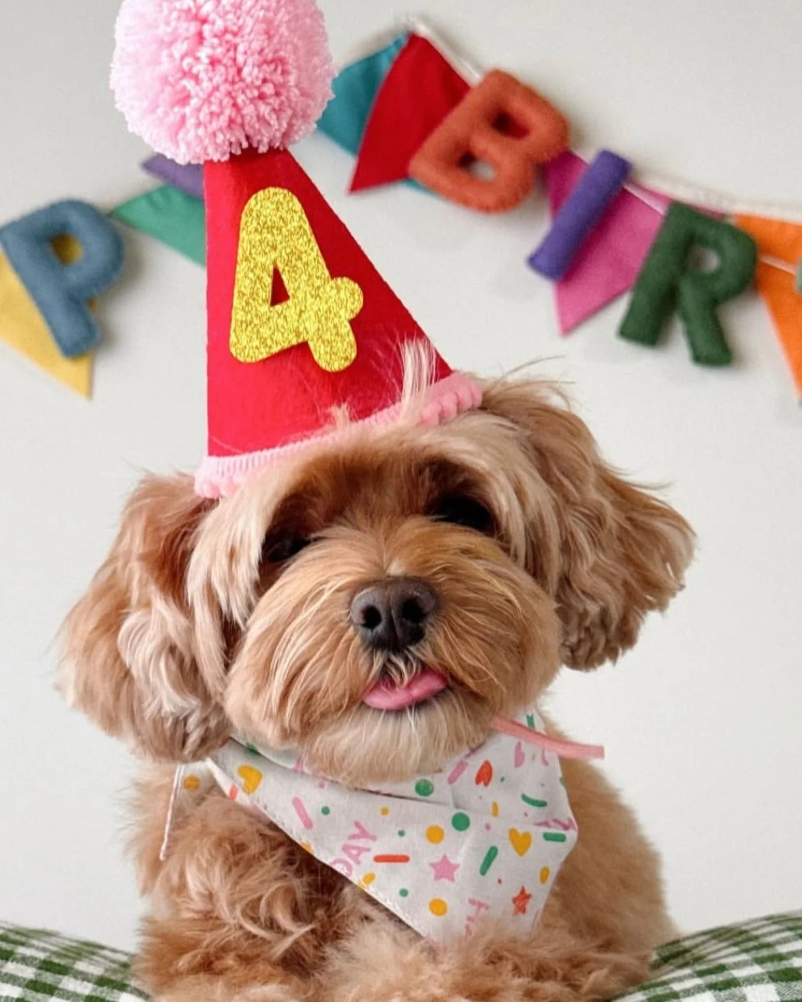 Happy Barkday Pink Dog Bandana - Image 4