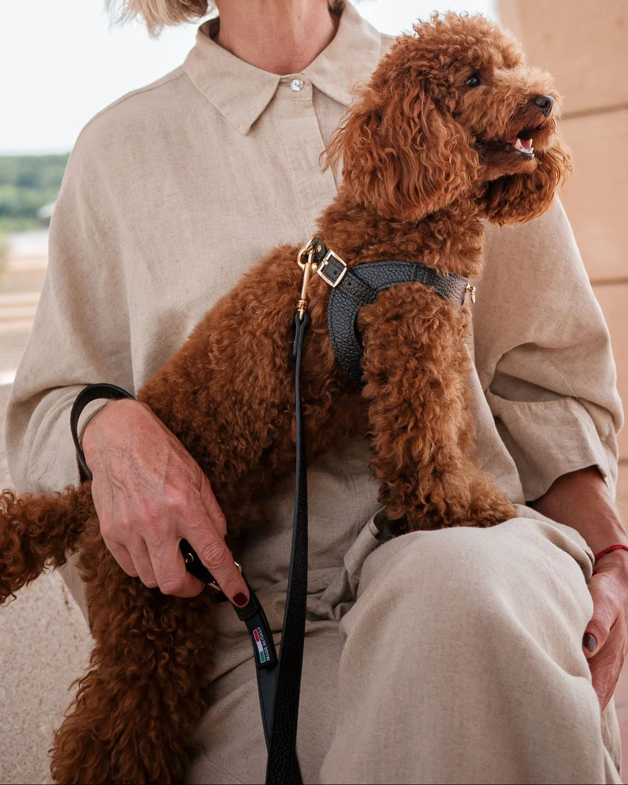 Nara Black Leather Dog Leash - Image 3