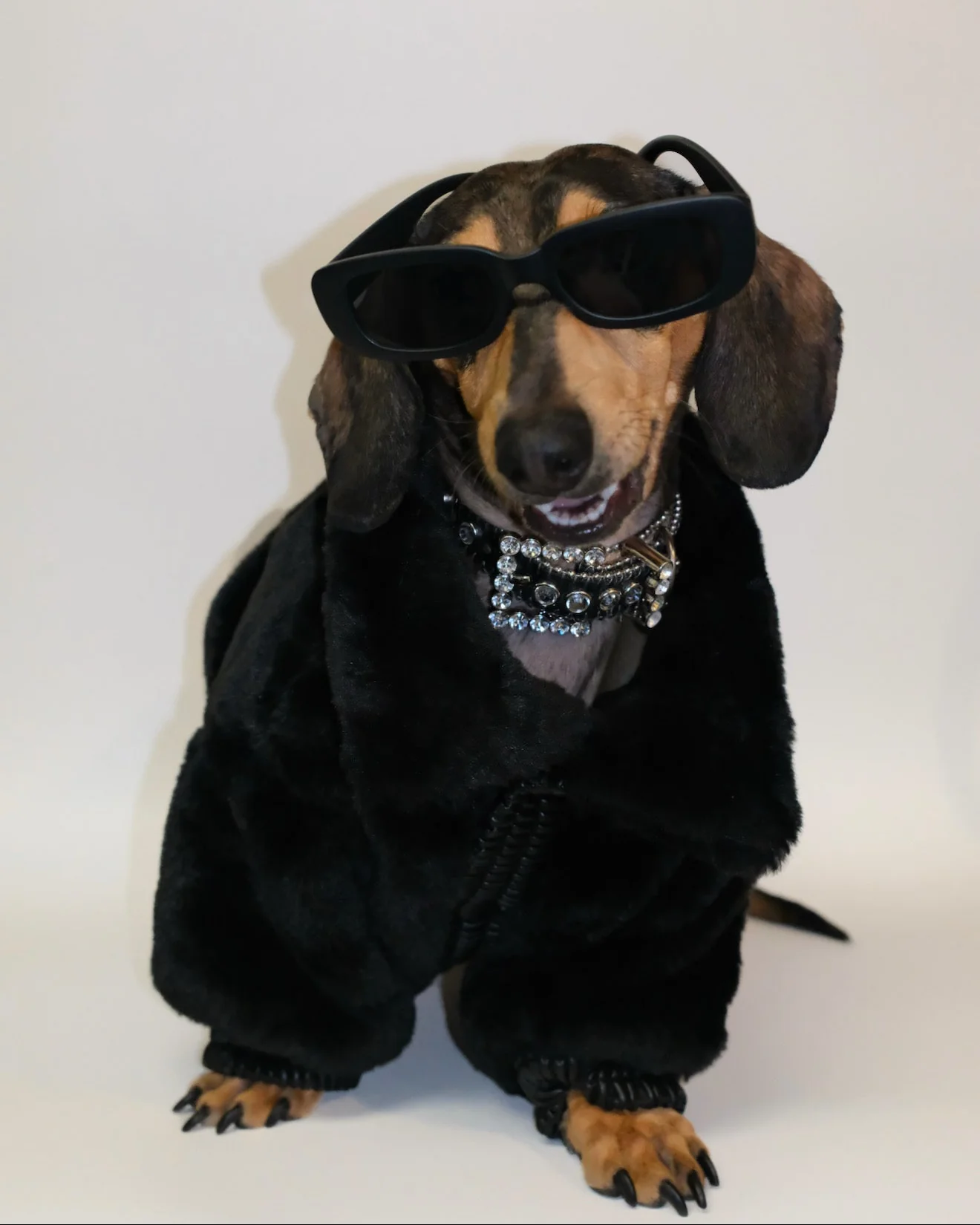 Broadway Black Faux Fur Dog Jacket - Image 7
