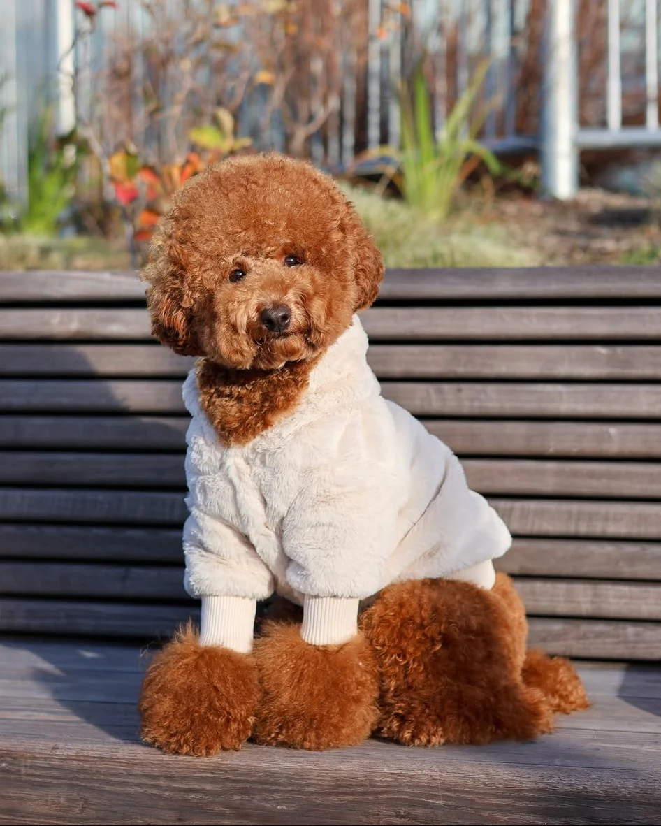 Juneau Ivory Reversible Dog Jacket - Image 12