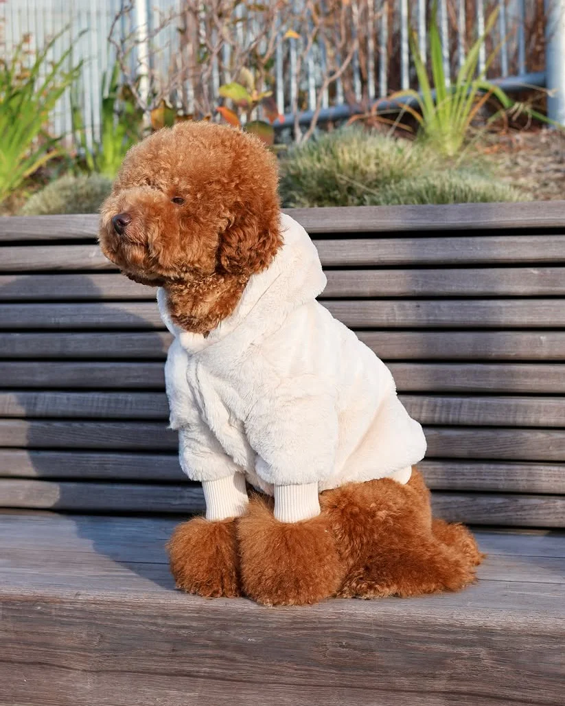 Juneau Ivory Reversible Dog Jacket - Image 13