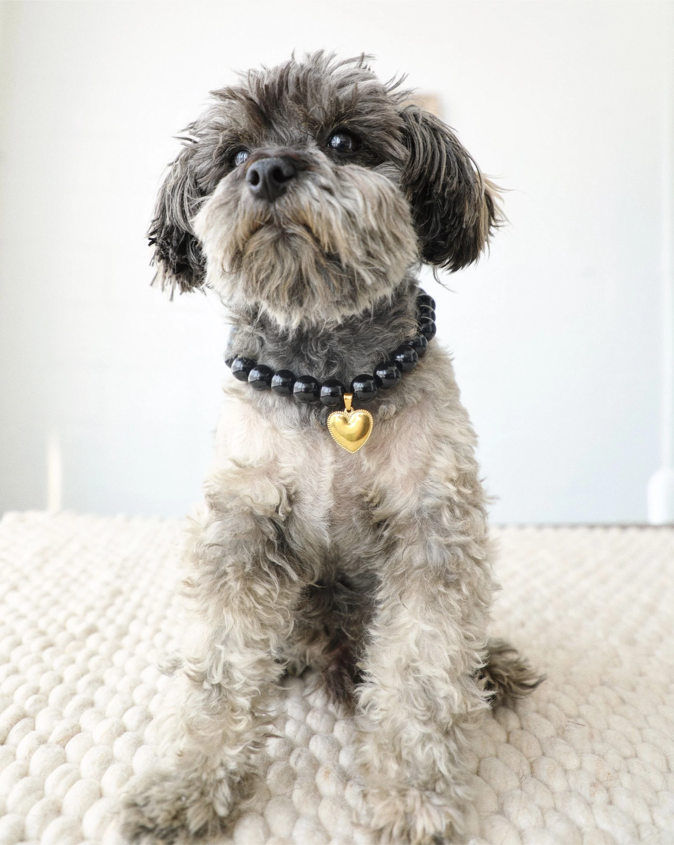 Polished Pup Black Beaded Dog Necklace - Image 4