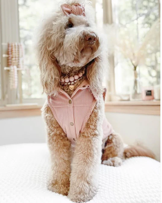 Polished Pup Blush Beaded Dog Necklace - Image 2