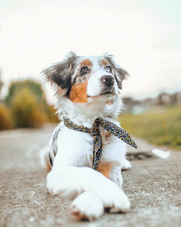 Wildflower Navy Floral Necktie - Image 3