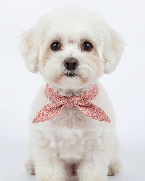 Wildflower Pink Floral Necktie - Image 2