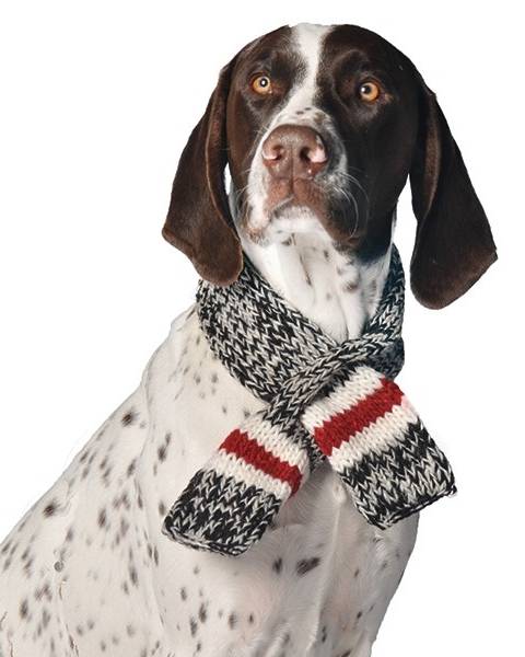 Stormy Weather Boyfriend Pet Scarf - Image 3