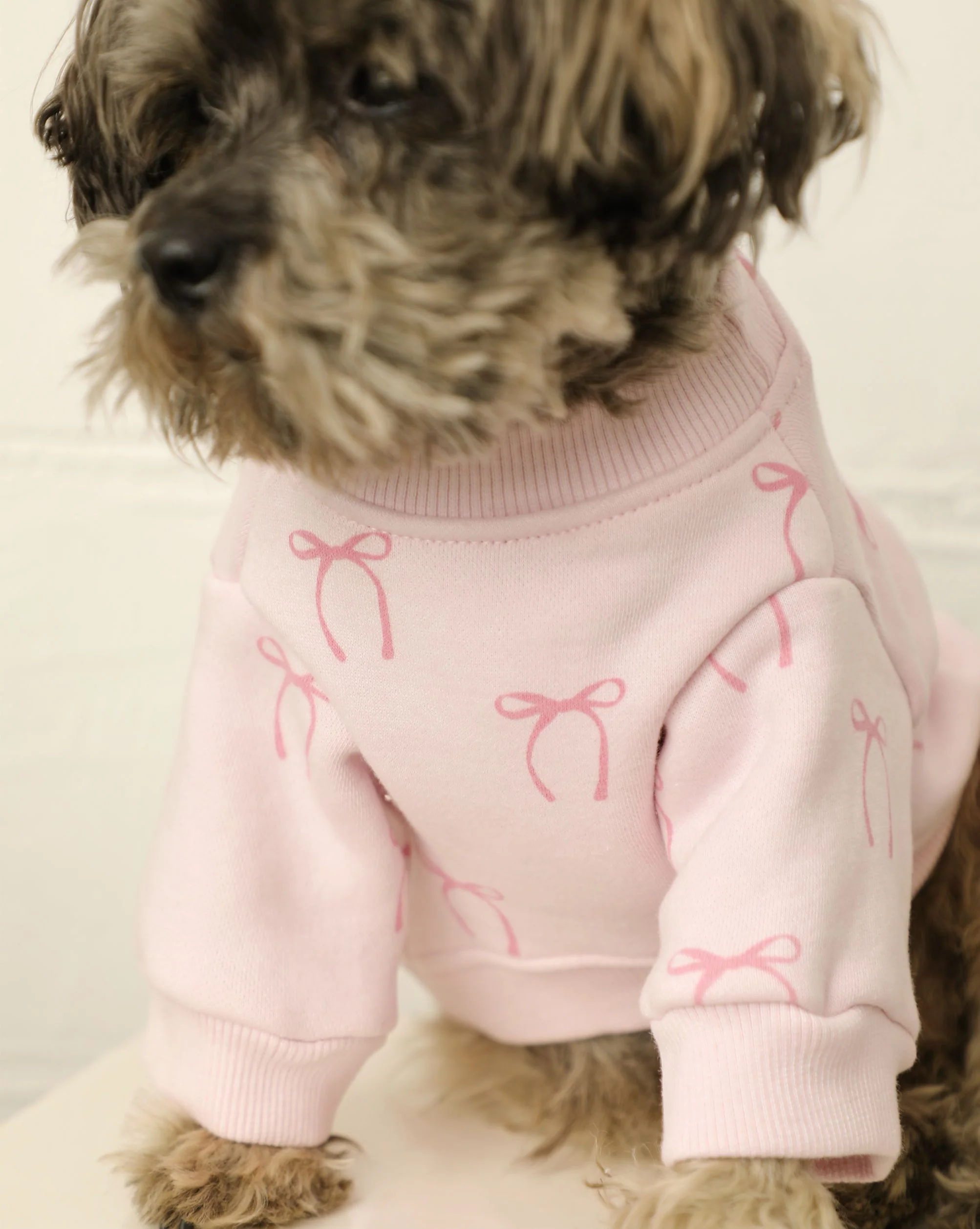Blushing Babe Pink Bow Dog Sweatshirt - Image 6