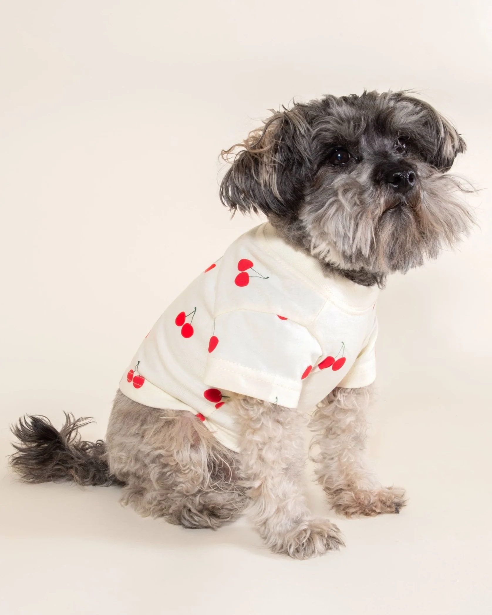 Casual Cutie Cherry Relaxed Dog T-Shirt - Image 3