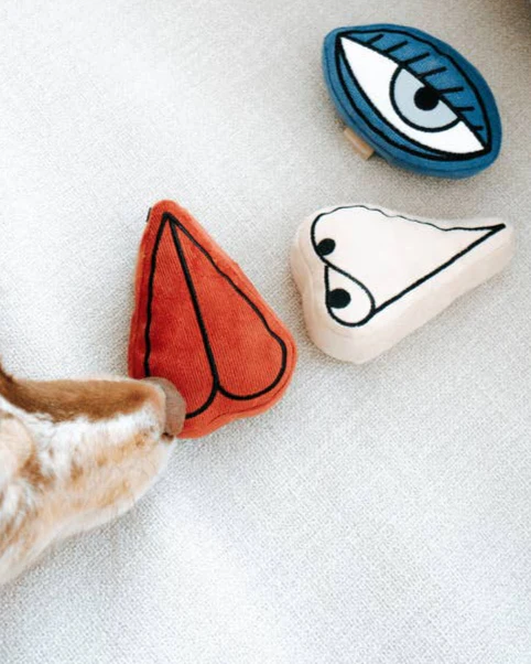Pup-casso Snuffle Dog Toy Set - Image 5