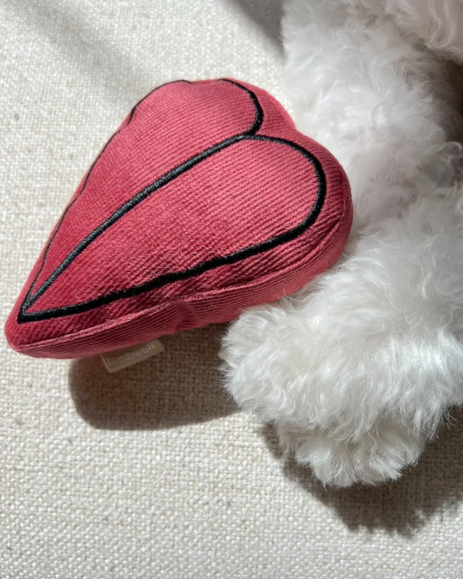 Pup-casso Snuffle Dog Toy Set - Image 7