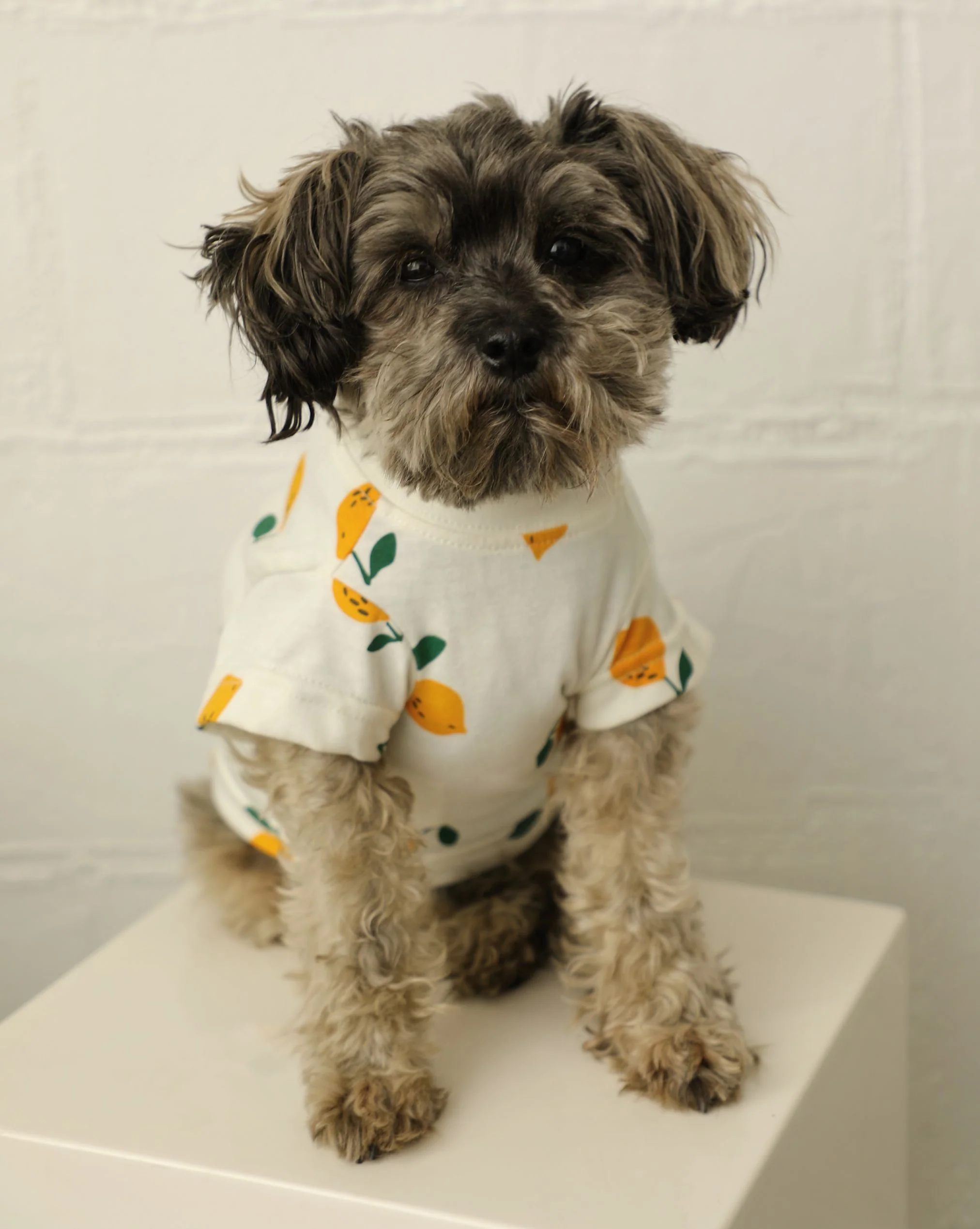 Casual Cutie Lemon Relaxed Dog T-Shirt - Image 5