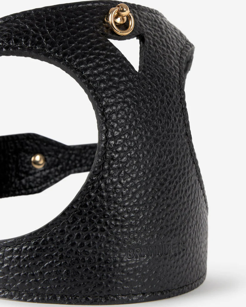 Luca Harness Black Leather Walk Kit - Image 10