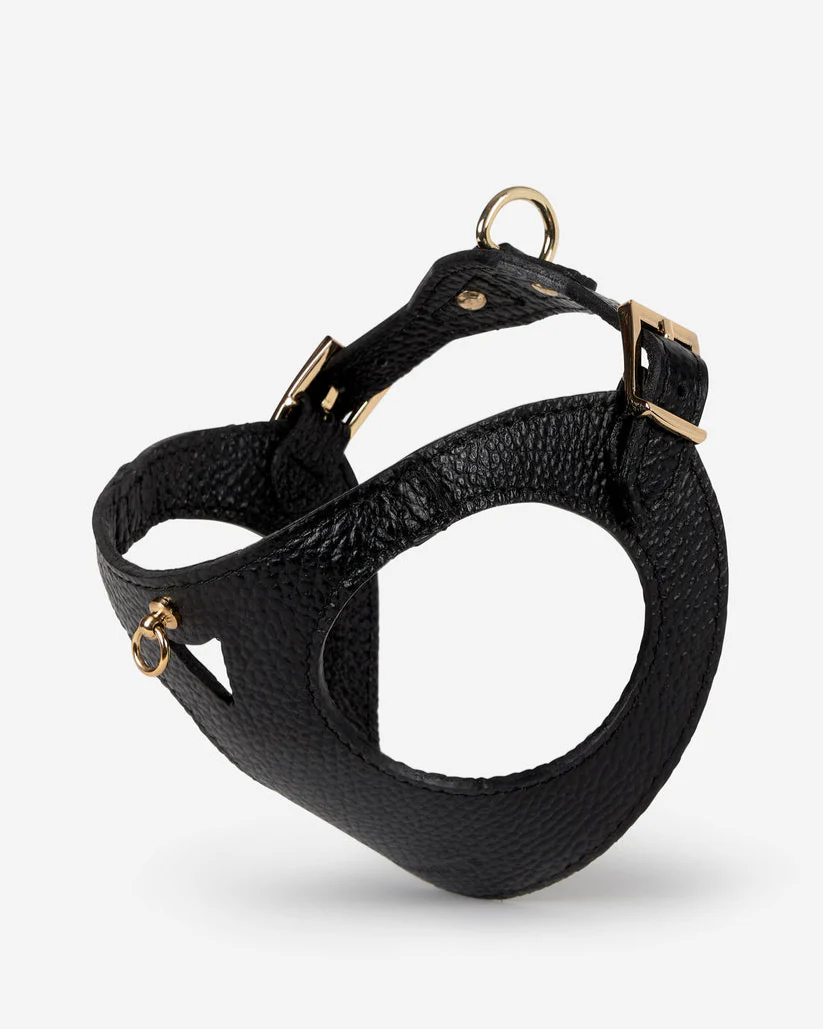 Luca Harness Black Leather Walk Kit - Image 3