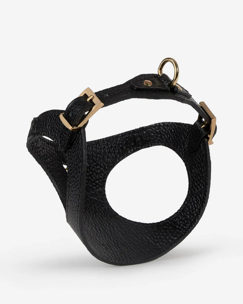 Luca Harness Black Leather Walk Kit - Image 7