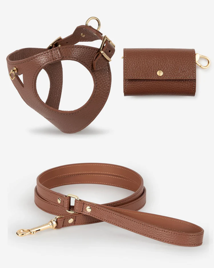 Luca Harness Chocolate Leather Walk Kit