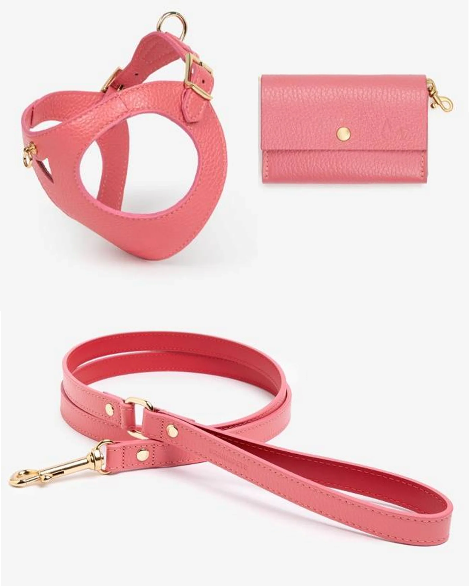 Luca Harness Pink Leather Walk Kit