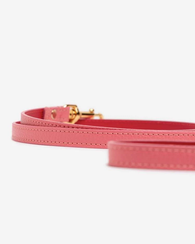 Luca Harness Pink Leather Walk Kit - Image 3