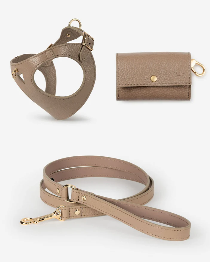 Luca Harness Taupe Leather Walk Kit