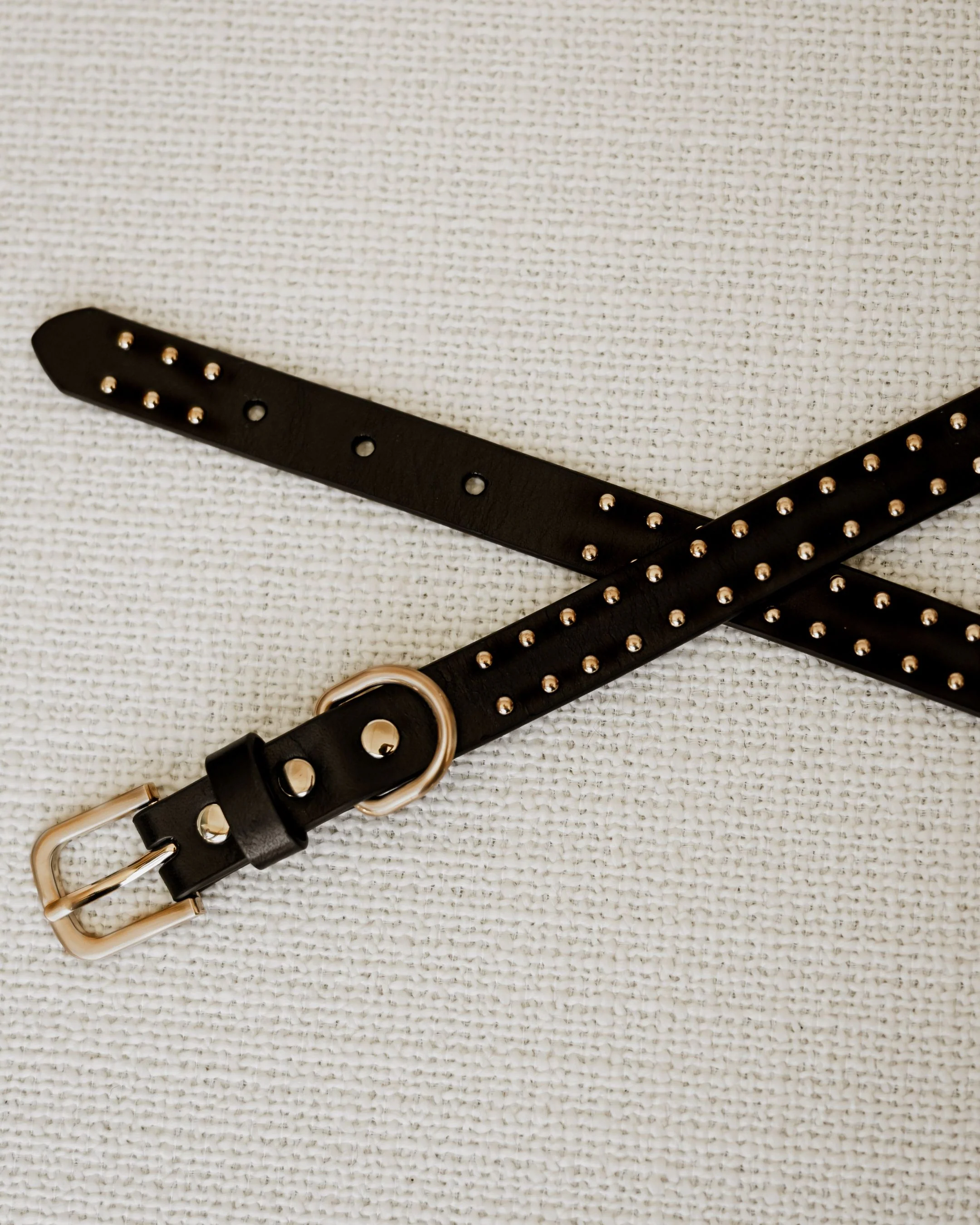 What a Stud Black Leather Dog Collar - Image 5