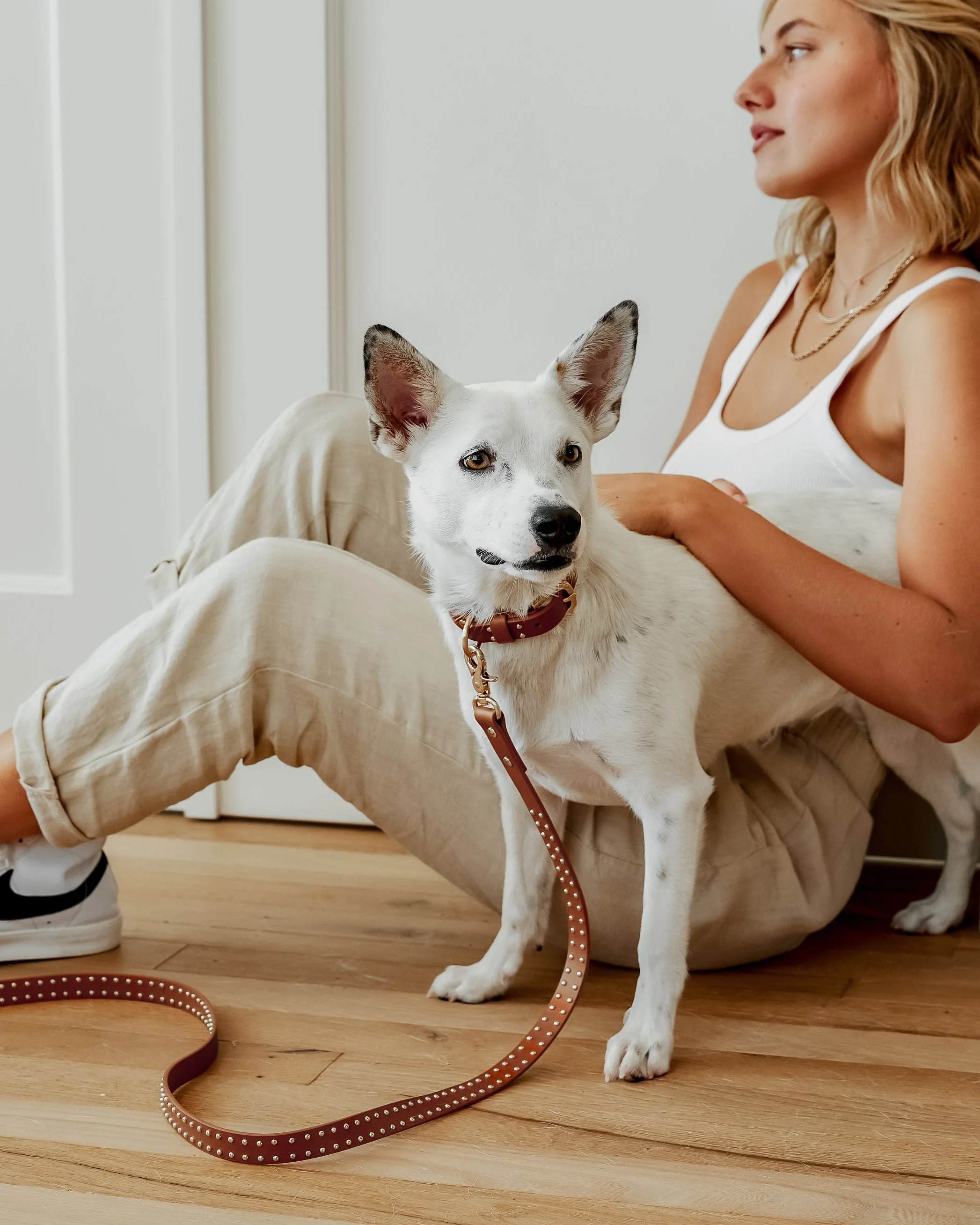 What a Stud Tan Leather Dog Leash - Image 4