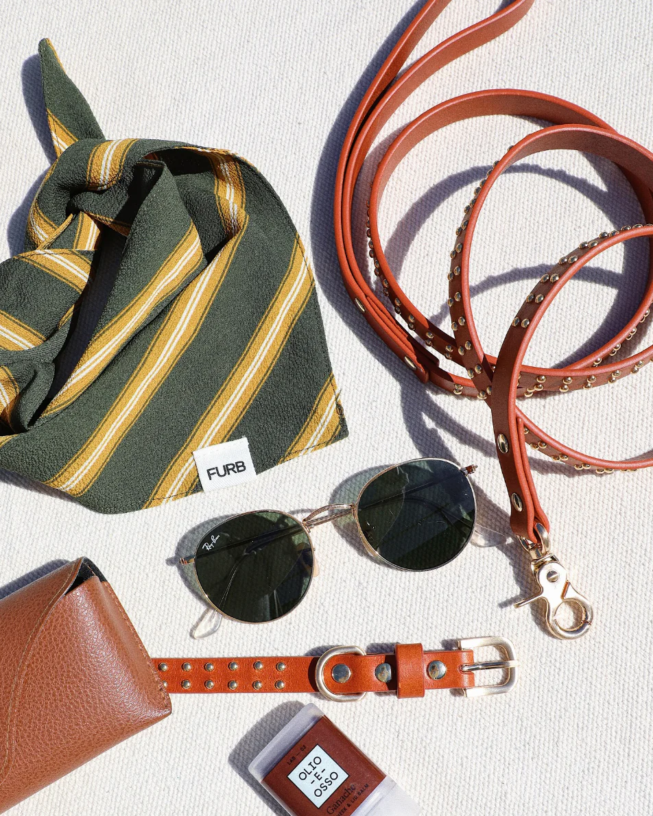 What a Stud Tan Leather Dog Collar - Image 7