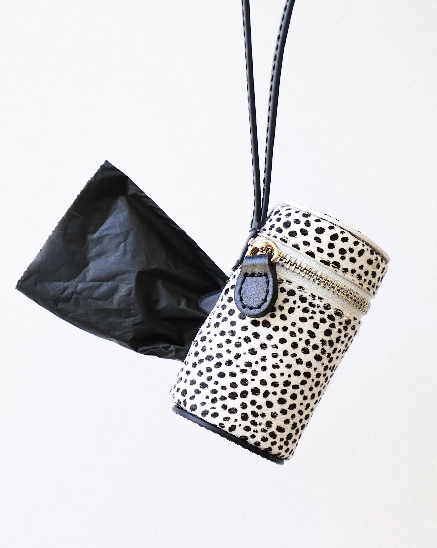 Wylde Black Spotted Dog Bundle - Image 5