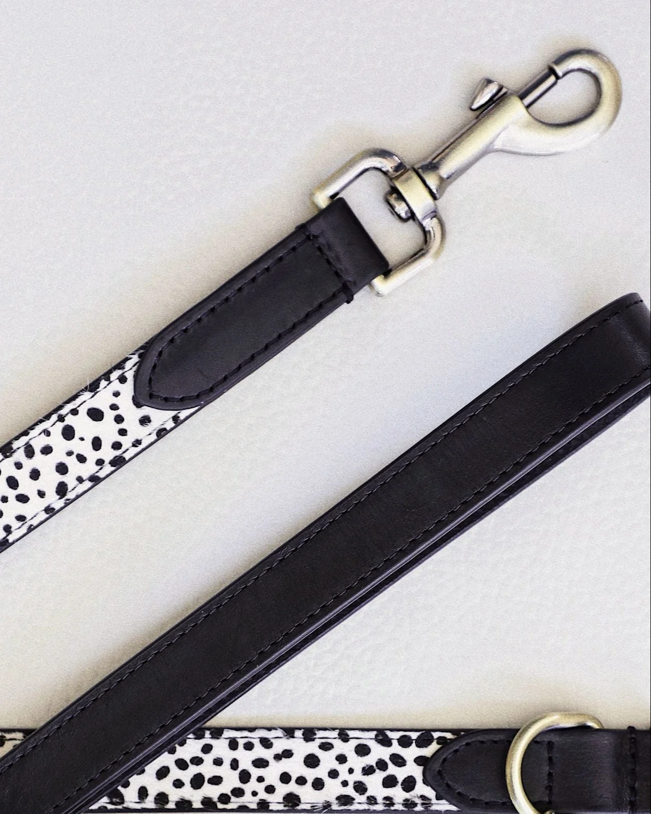 Wylde Black Spotted Dog Bundle - Image 6