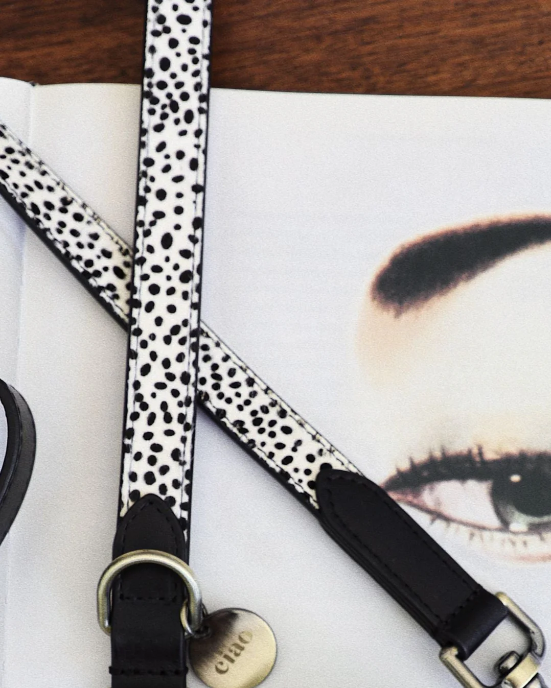Wylde Black Spotted Dog Bundle - Image 7