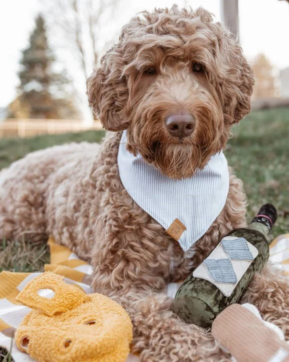 Wine Not Merlot Dog Toy - Image 5