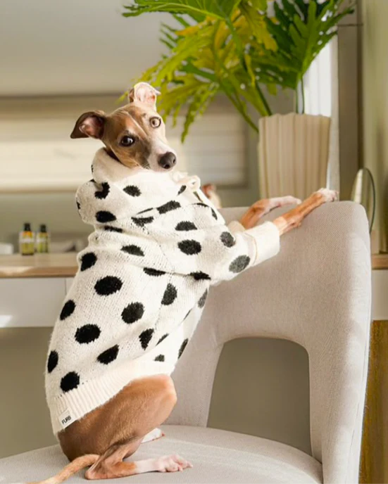 Venice Ivory + Black Polka Dot Dog Hoodie - Image 6