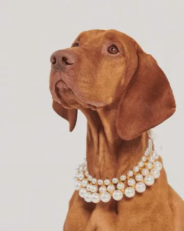 Ever After Layered Pearl Dog Necklace - Image 2