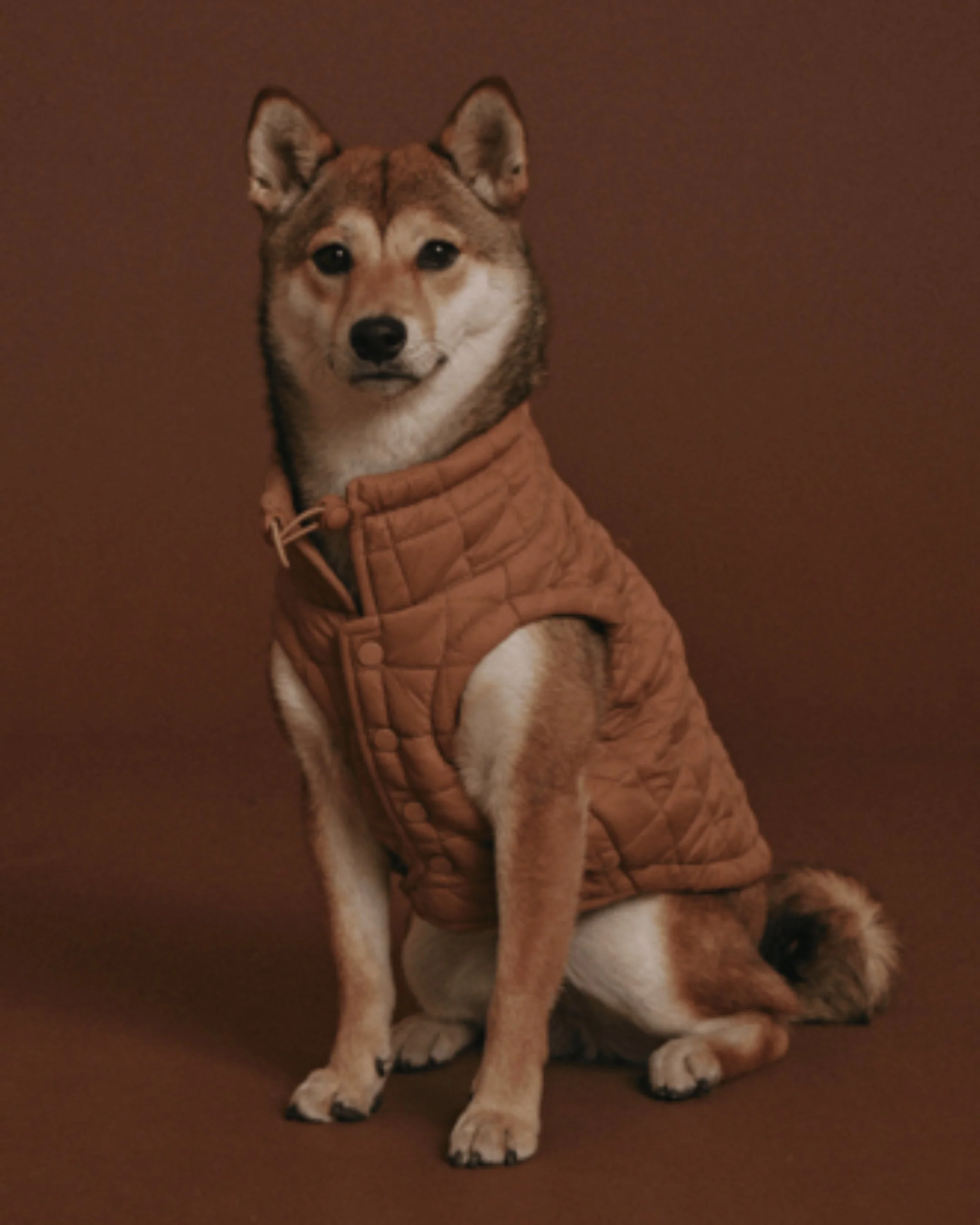 maxbone Easy Fit Jacket in Camel - Image 4