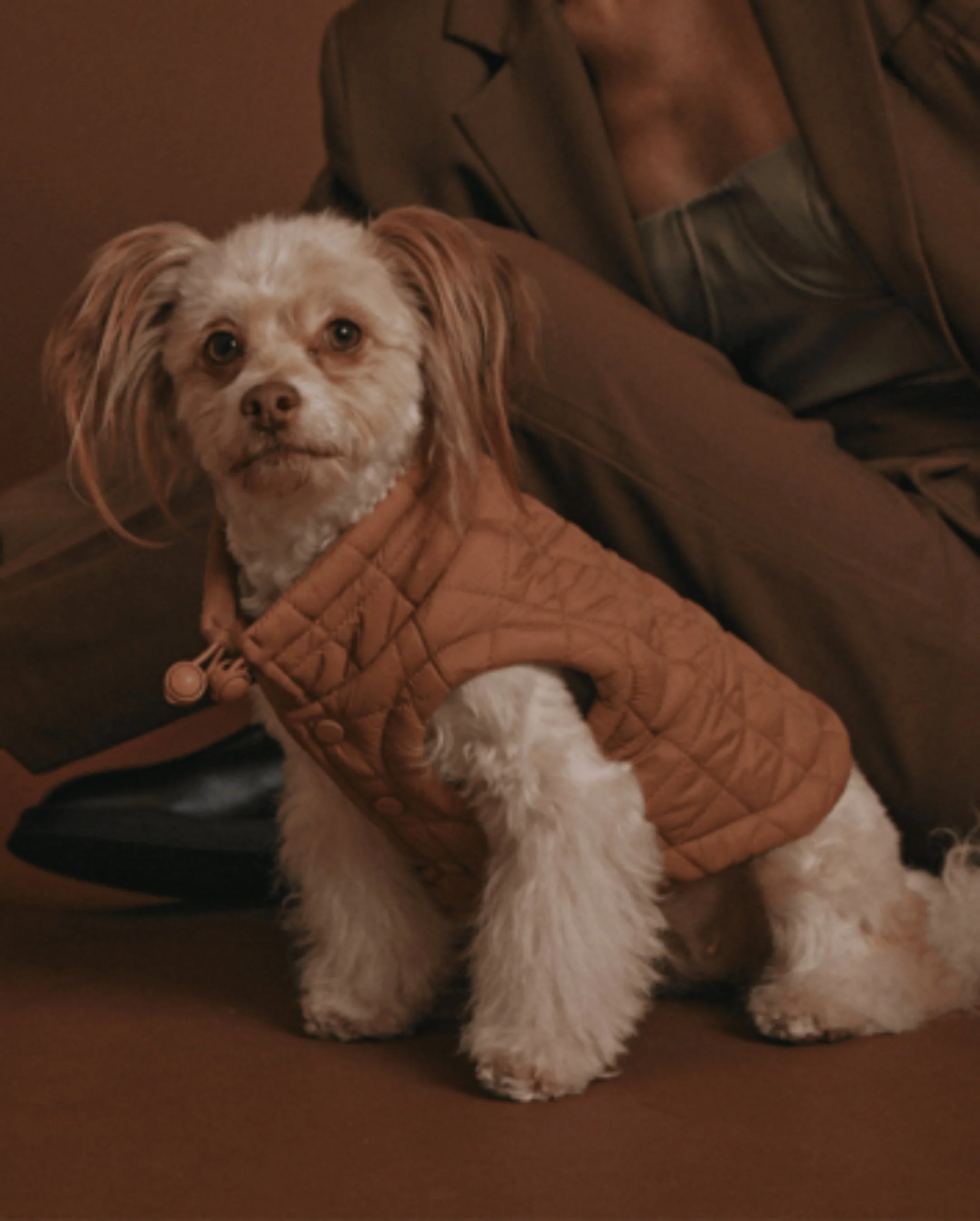 maxbone Easy Fit Jacket in Camel - Image 8