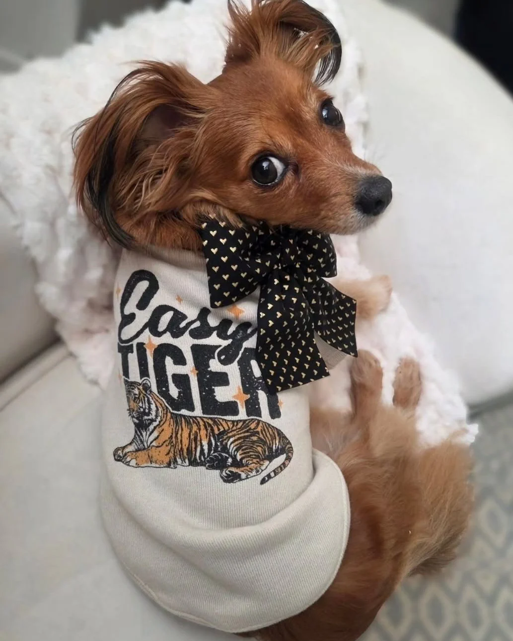 Easy Tiger Dog Sweatshirt - Image 2