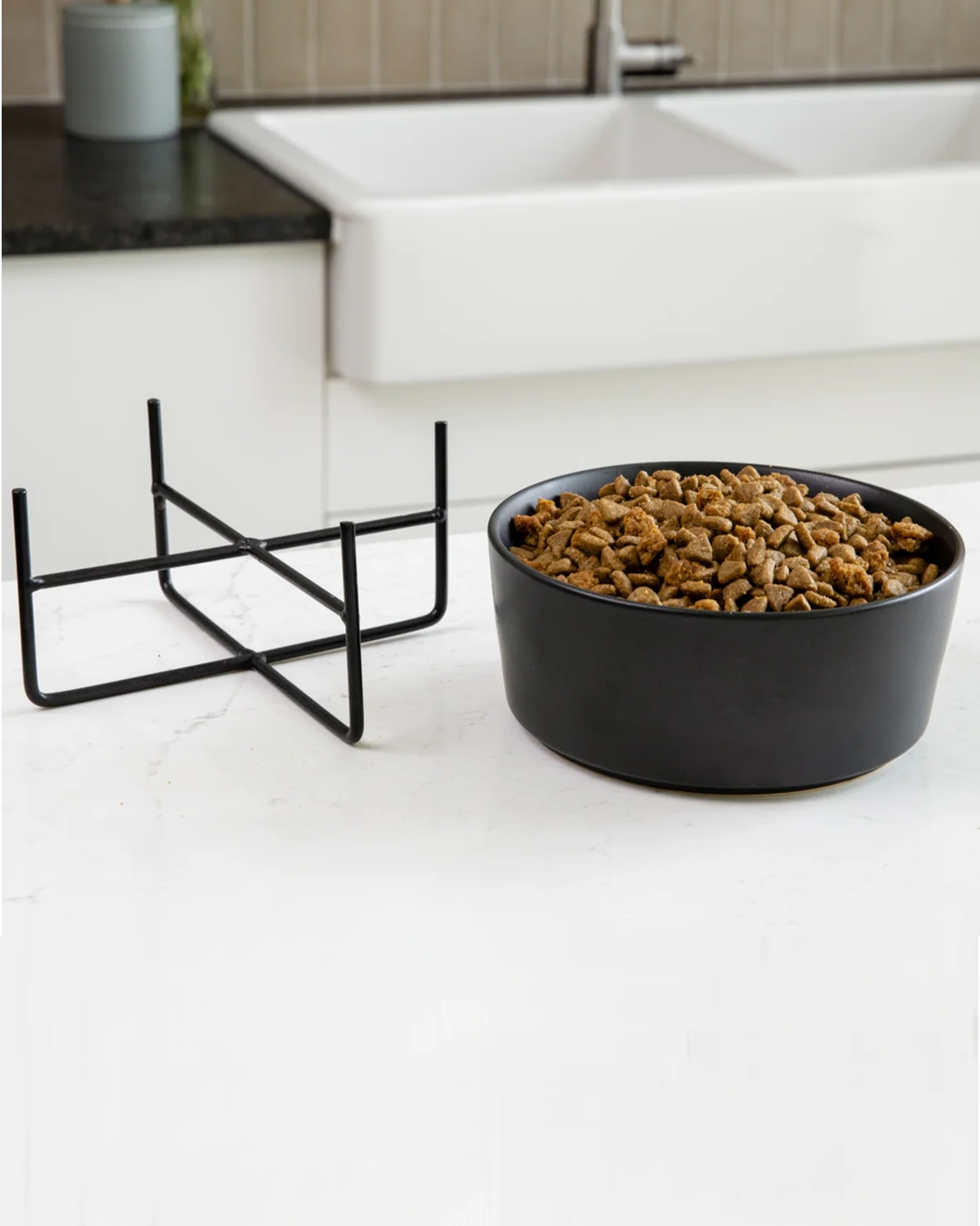Bone Appétit Black Elevated Dog Bowl - Image 5