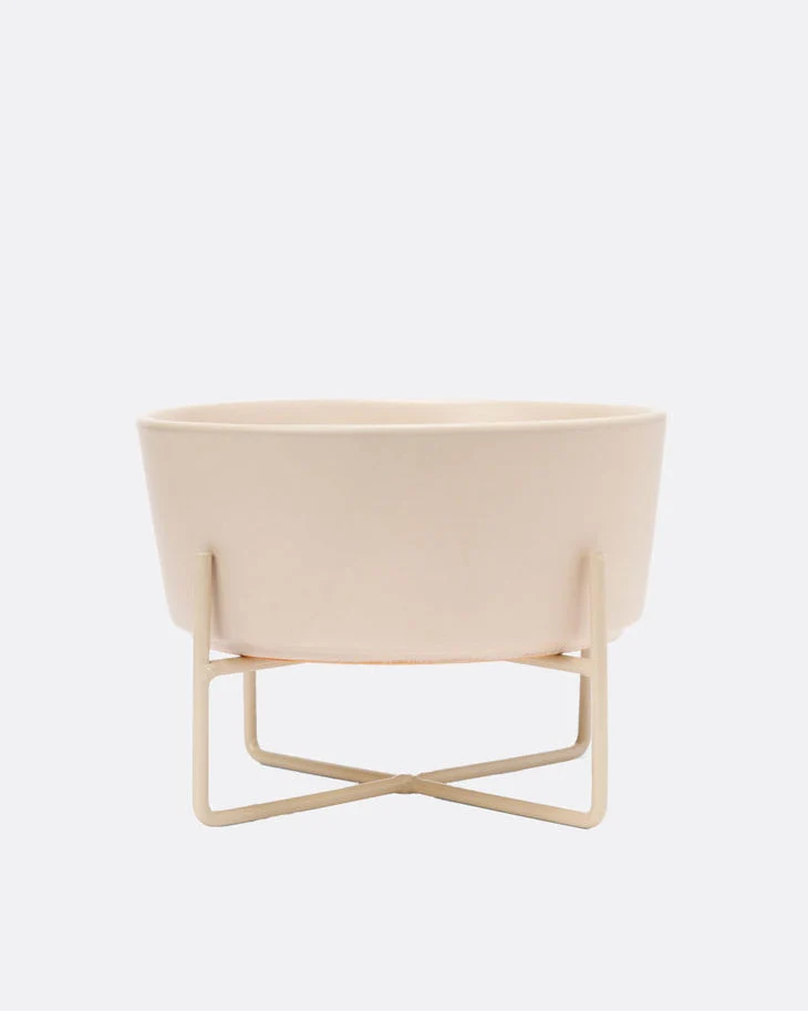 Bone Appétit Buttercream Elevated Dog Bowl