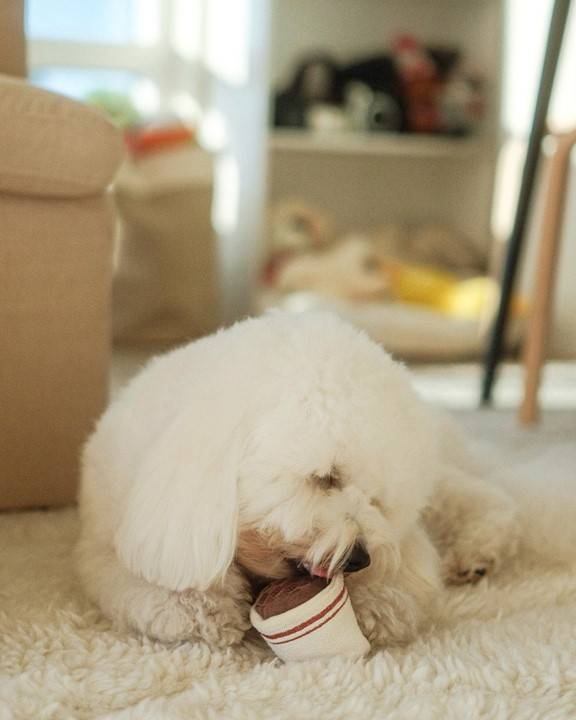 Central Bark Espresso Dog Toy - Image 5
