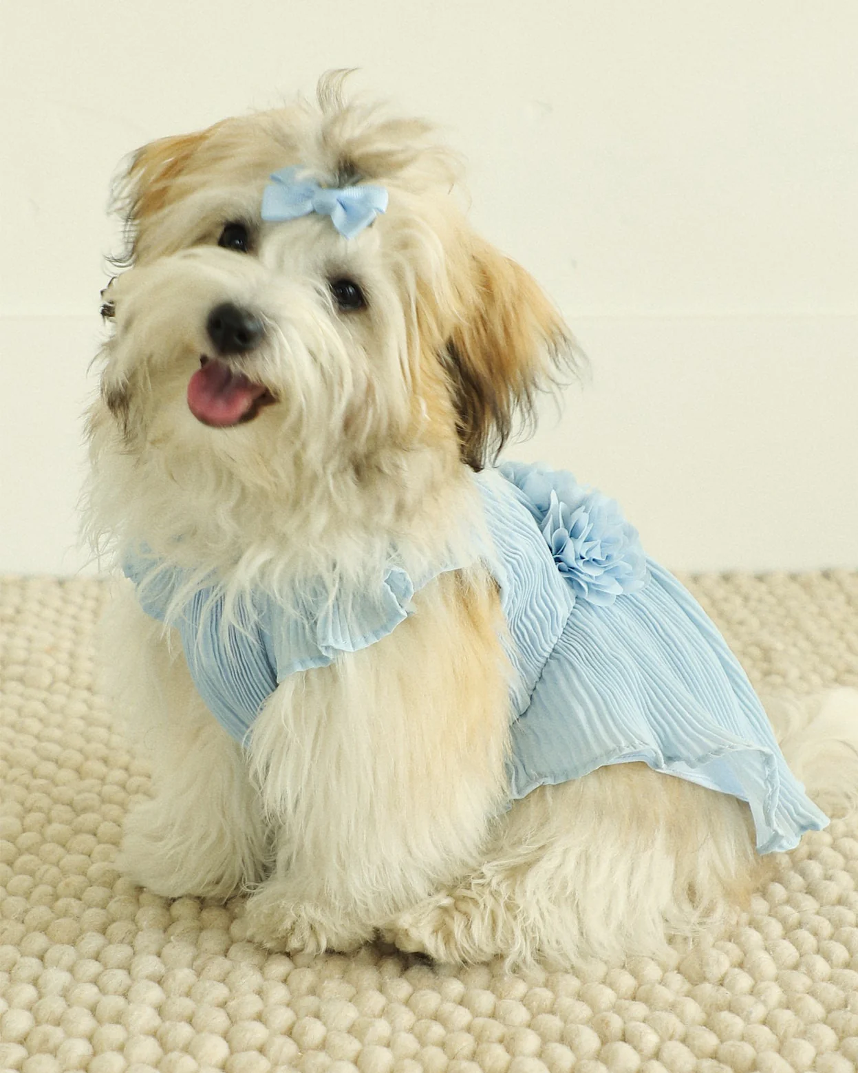 Love Story Ice Blue Pleated Chiffon Dress - Image 2