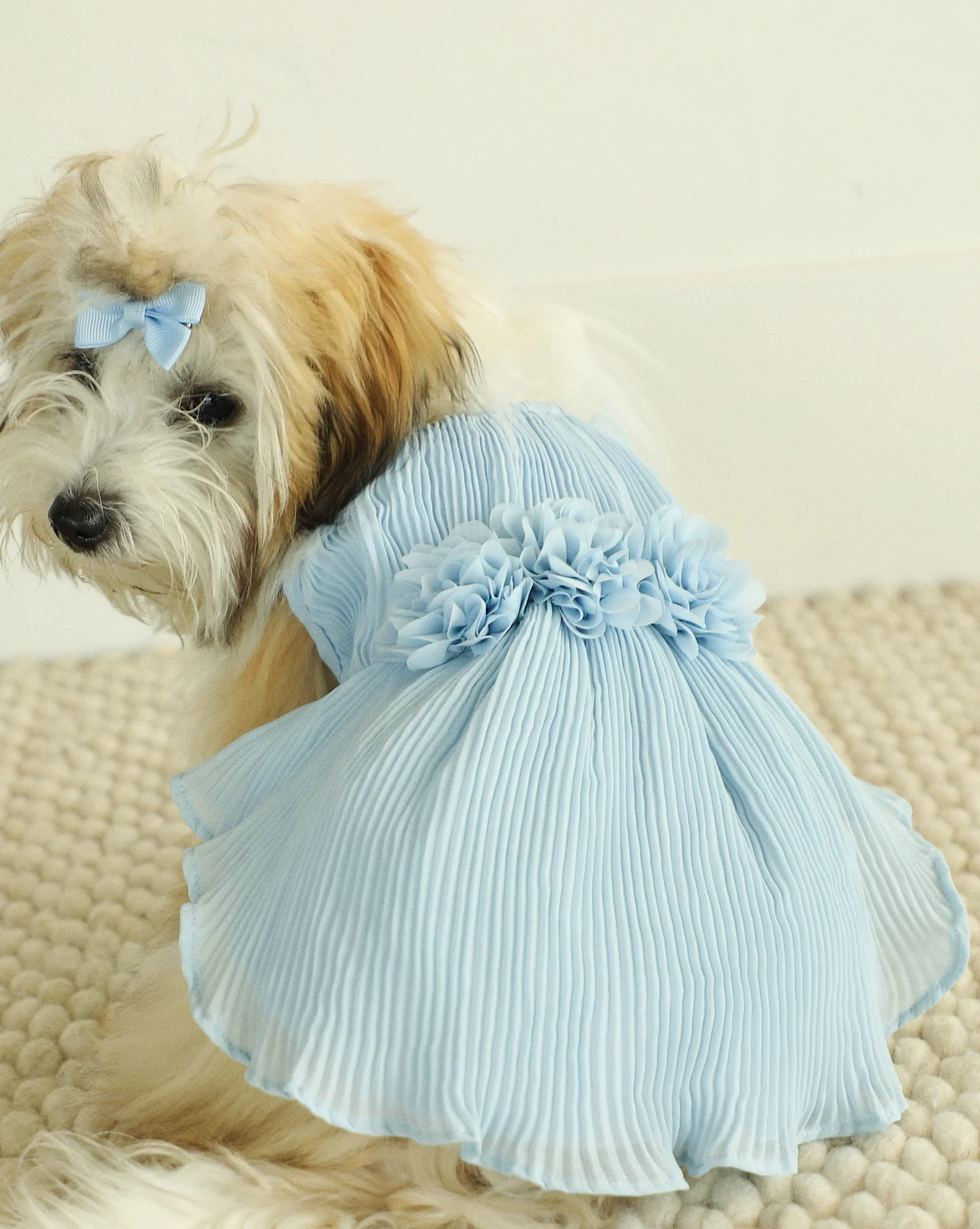 Love Story Ice Blue Pleated Chiffon Dress - Image 4