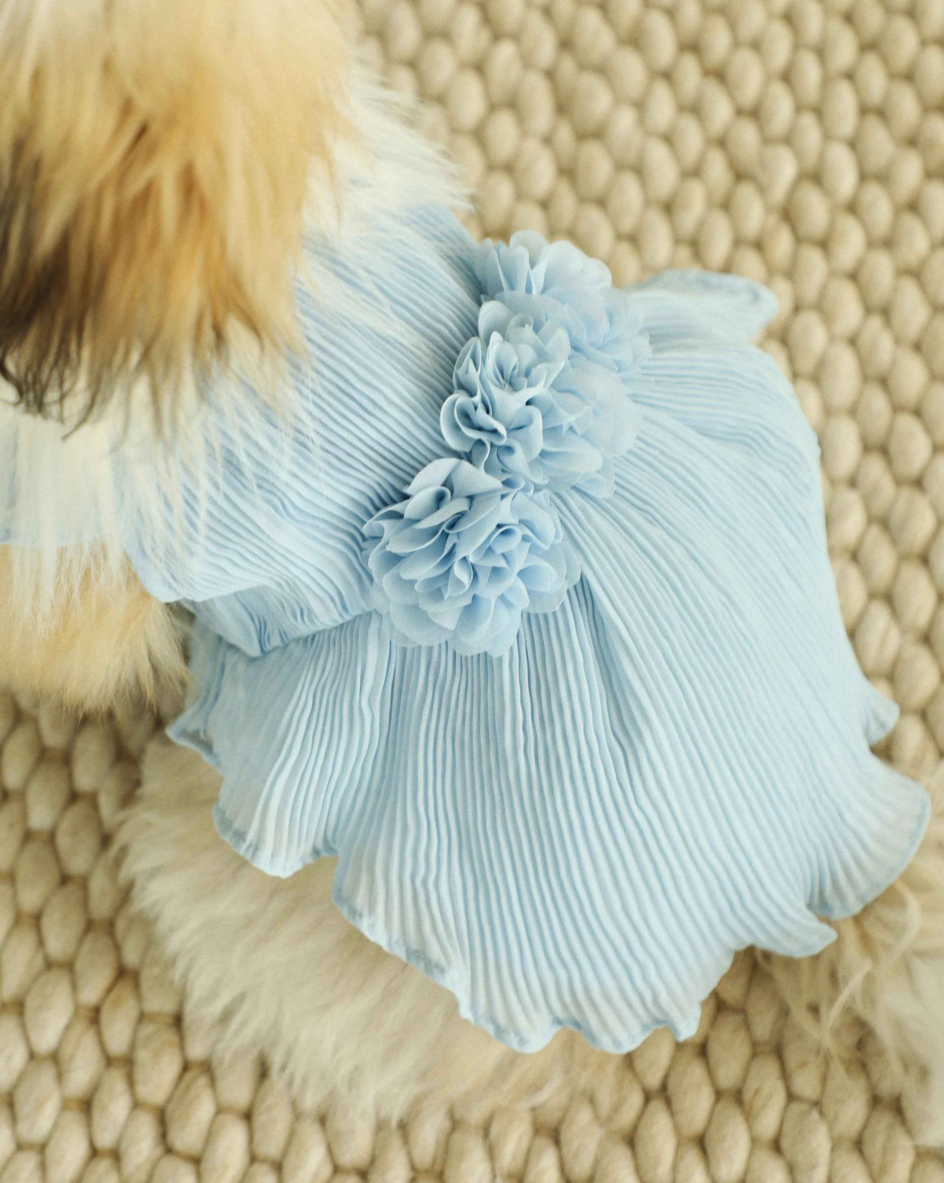 Love Story Ice Blue Pleated Chiffon Dress - Image 6
