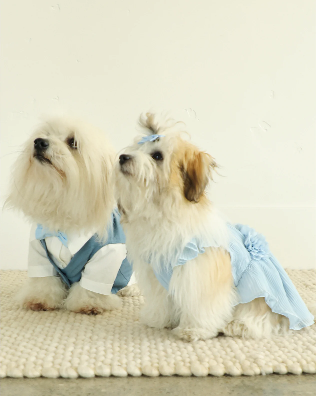 Love Story Ice Blue Pleated Chiffon Dress - Image 7