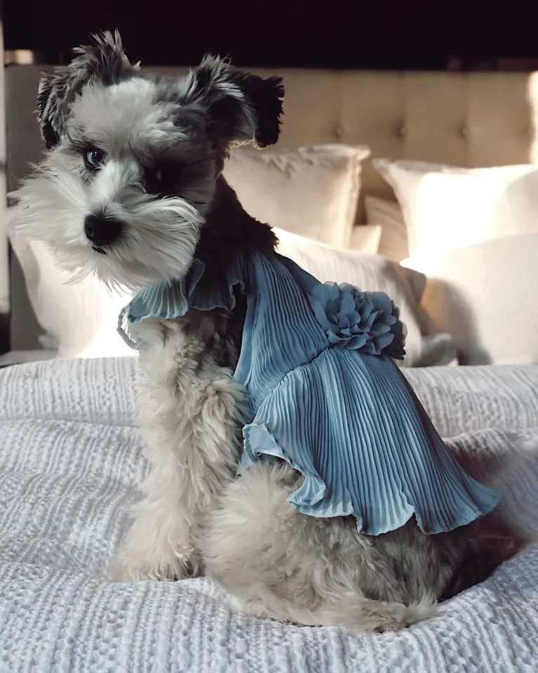 Love Story Ice Blue Pleated Chiffon Dress - Image 8