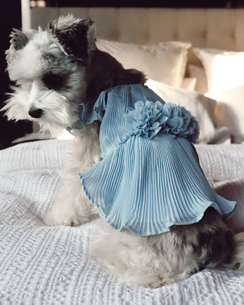 Love Story Ice Blue Pleated Chiffon Dress - Image 9