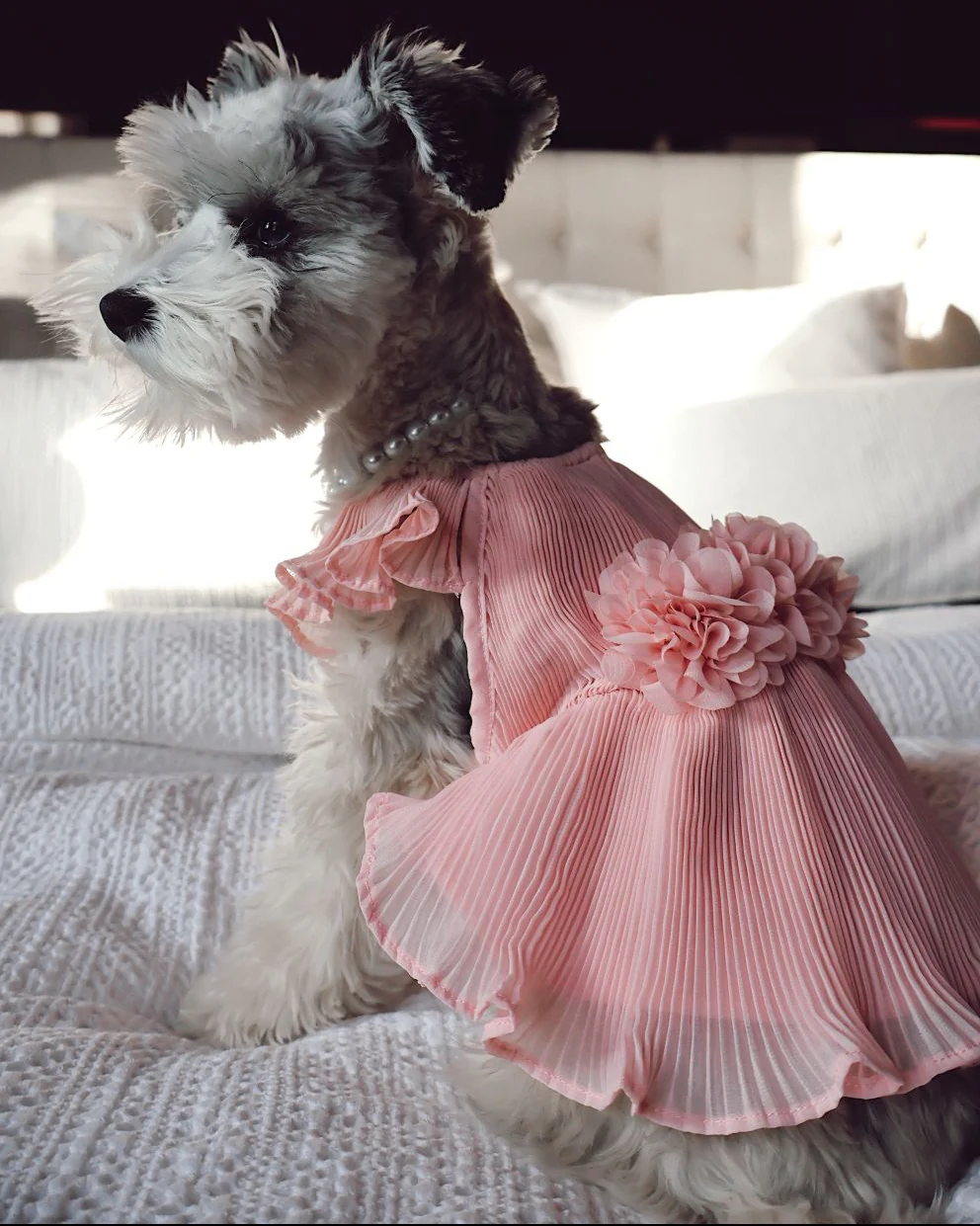 Love Story Rose Pink Pleated Chiffon Dress - Image 4