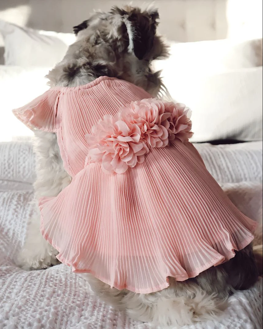 Love Story Rose Pink Pleated Chiffon Dress - Image 5