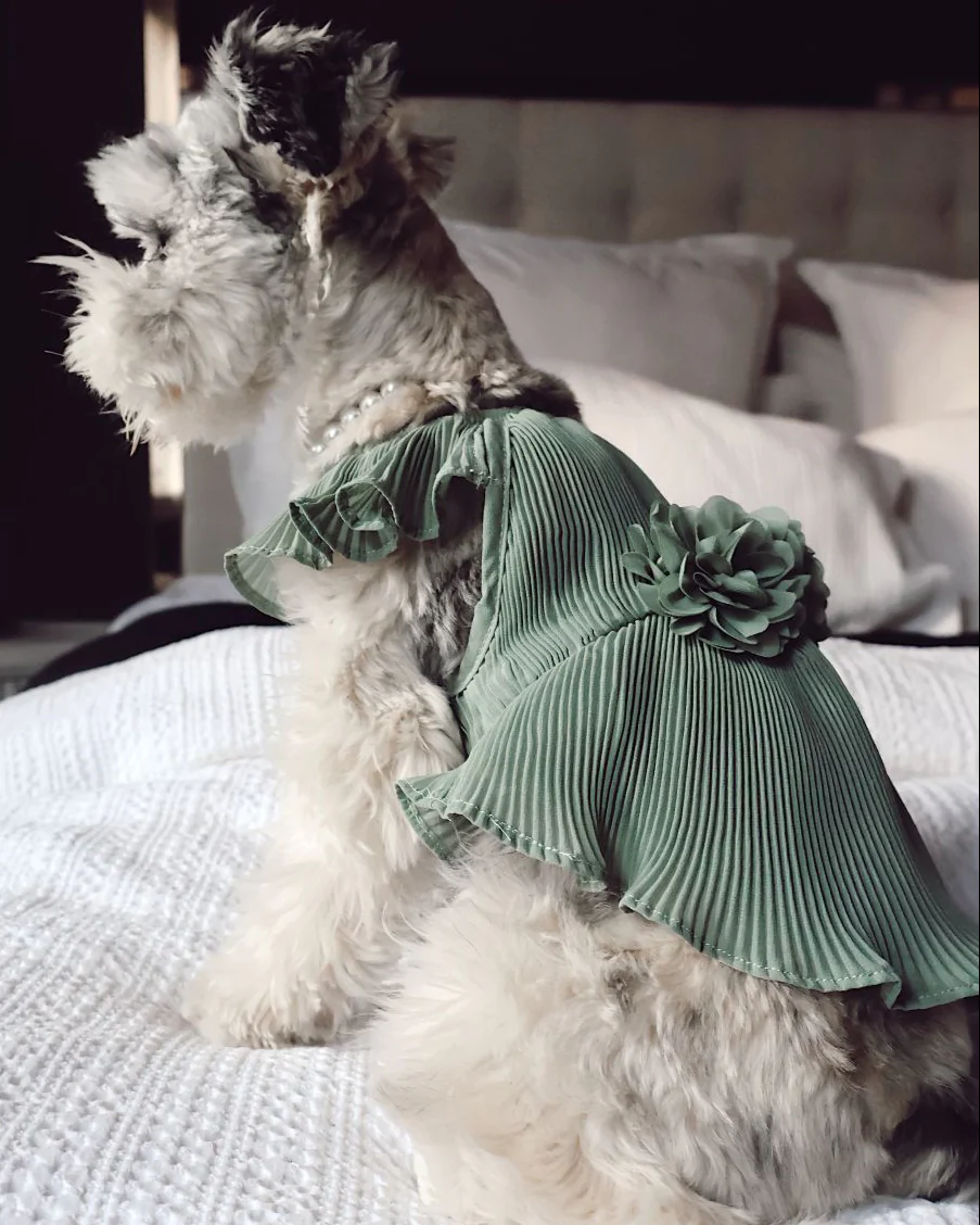 Love Story Sage Green Pleated Chiffon Dress - Image 4