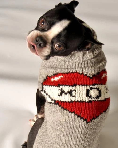 Mama's Pup Dog Sweater - Image 4