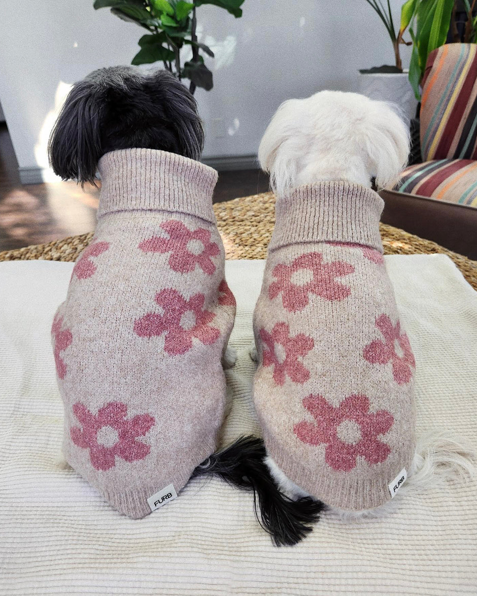 Flower Child Taupe + Pink Floral Dog Sweater - Image 7