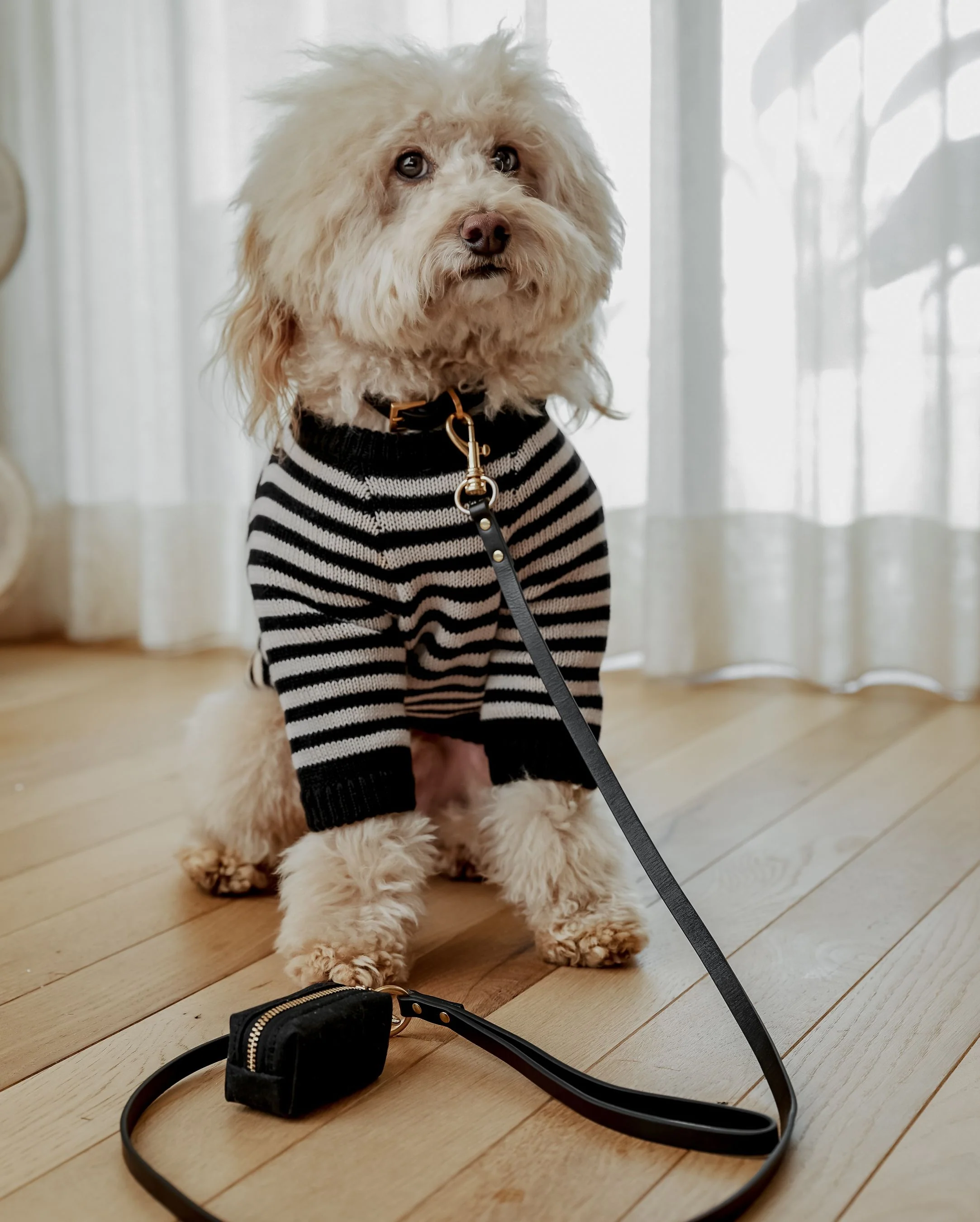 Foggy Dog Waste Bag Holder in Onyx - Image 4