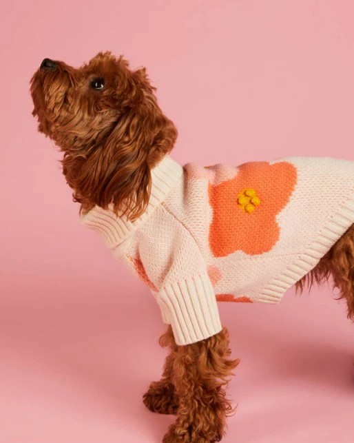 In Bloom Dog Sweater - Image 5